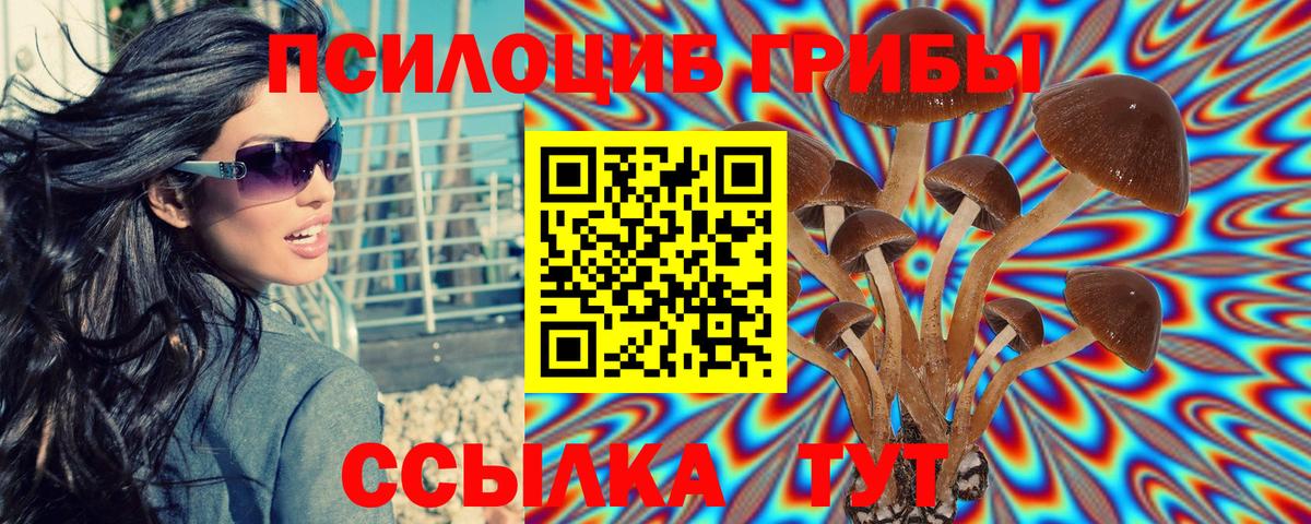 Галлюциногенные грибы Magic Shrooms  Галлюциногенные грибы GOLDEN TEACHER  Вход с VPN  Сухой Лог 